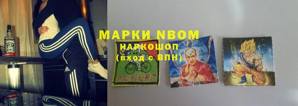 ПСИЛОЦИБИНОВЫЕ ГРИБЫ Вязники