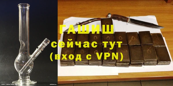 ПСИЛОЦИБИНОВЫЕ ГРИБЫ Вязники
